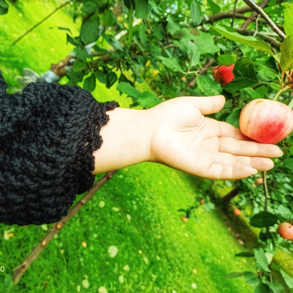 käsityöläisen unelmia